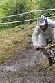 gdc ilmenau 07-07-2012_0248